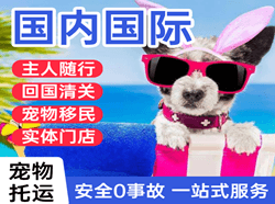 于田万方空运地址国际宠物托运 【国
